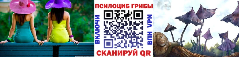 Псилоцибиновые грибы прущие грибы  закладка  Добрянка 